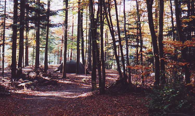 Tent, Oberhaslach, France (400x200x200cm)